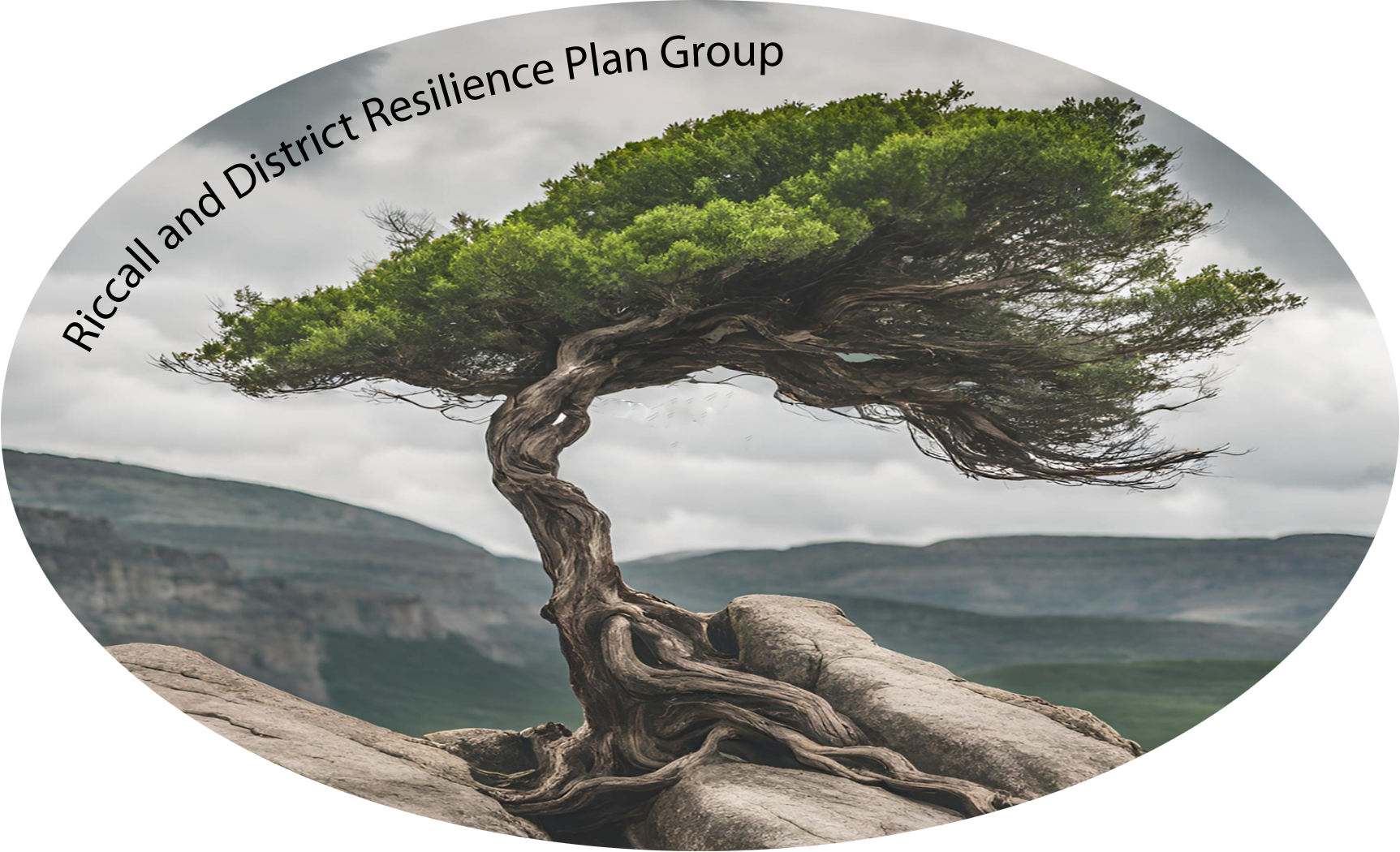 Riccall Reslience Plan Group Logo