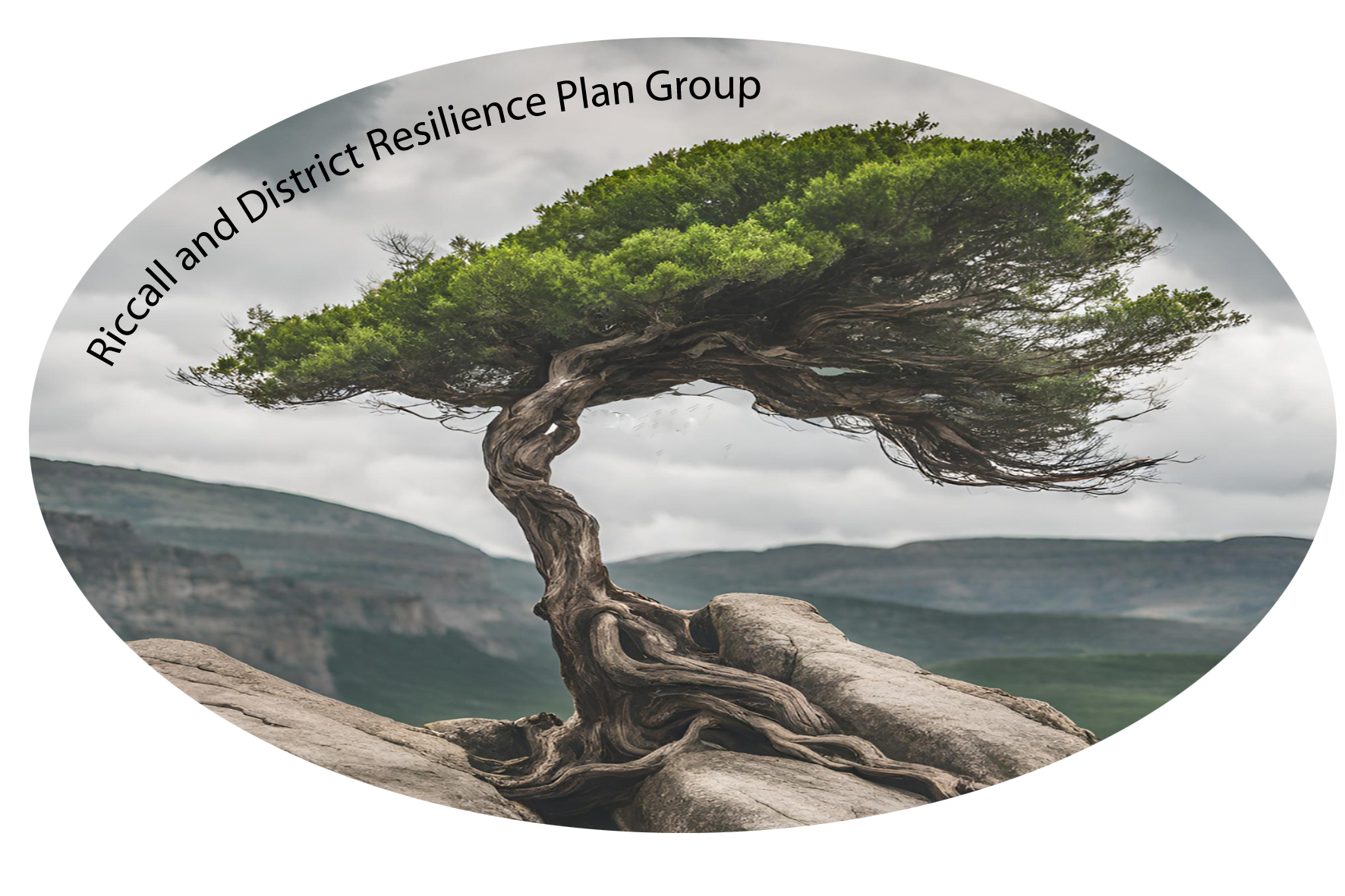 Riccall Resilience Group Logo